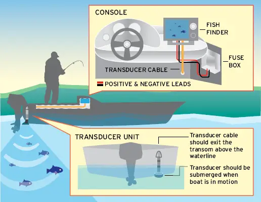 transducer and fish finder set up