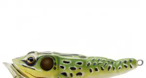 frog lure
