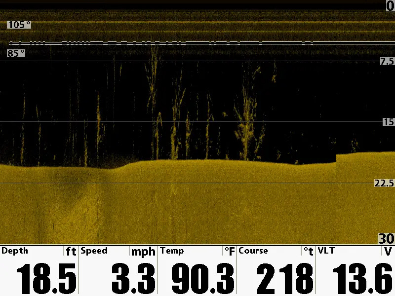 This was taken using down imaging. The trees seem to be in a line
